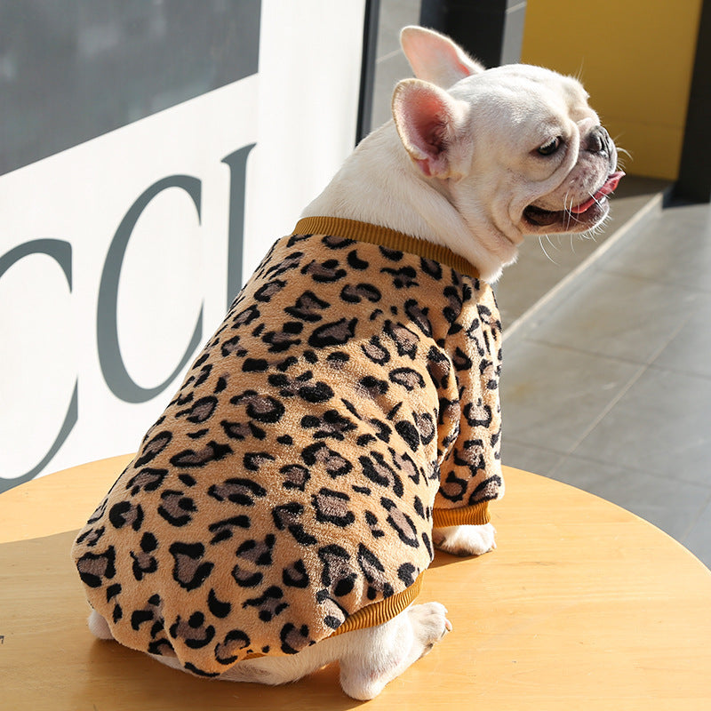 Dog Clothing & Accessories