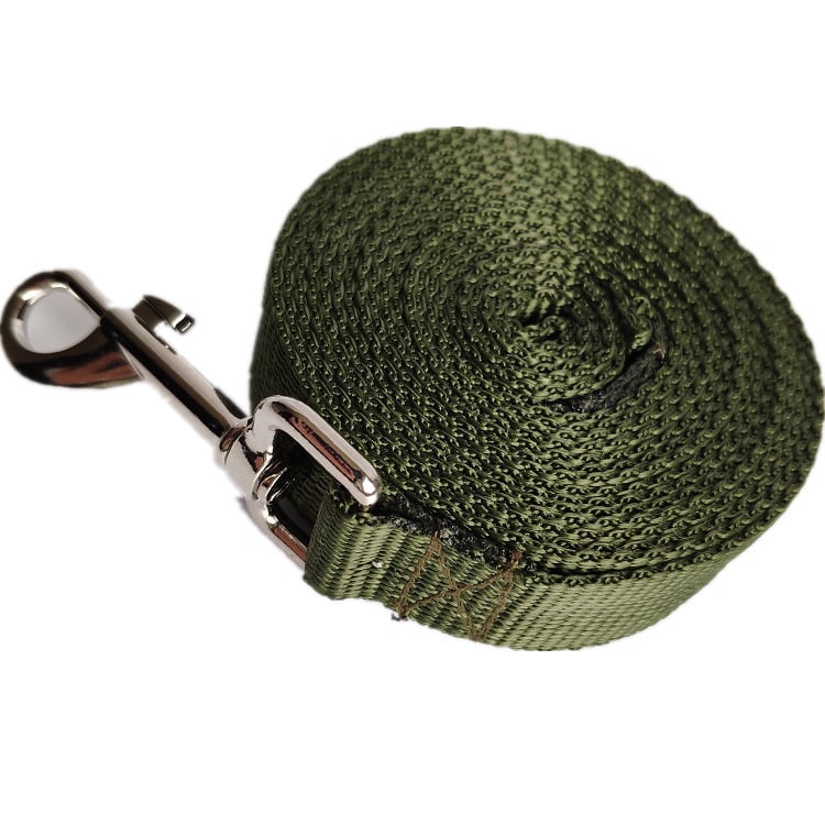 Laisse Longue et Large pour Chien en Corde de 2.5CM