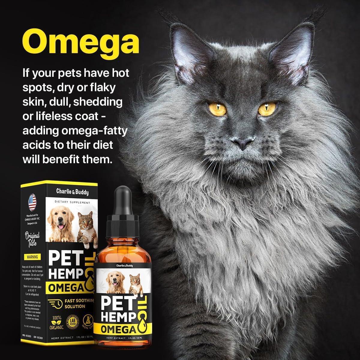 Huile de Chanvre et Saumon pour la Peau et le Pelage des Chiens, Santé Omega 3 6 9, Friandise Calmante 1 fl oz