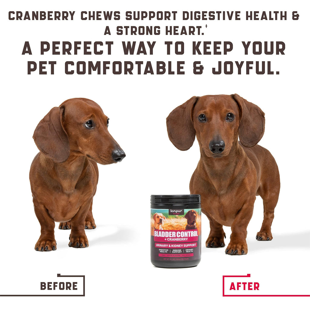 180 Pièces Cranberry Chews Complément de Canneberge pour Chiens Aide Naturelle pour les Voies Urinaires