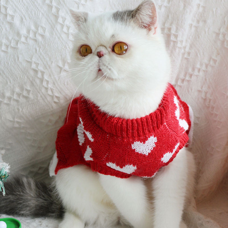 Pull de Princesse pour Chiens pour les Fêtes