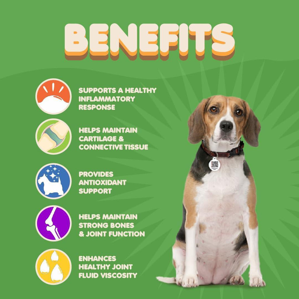 Chews pour la Santé Articulaire des Chiens avec Glucosamine & Curcuma