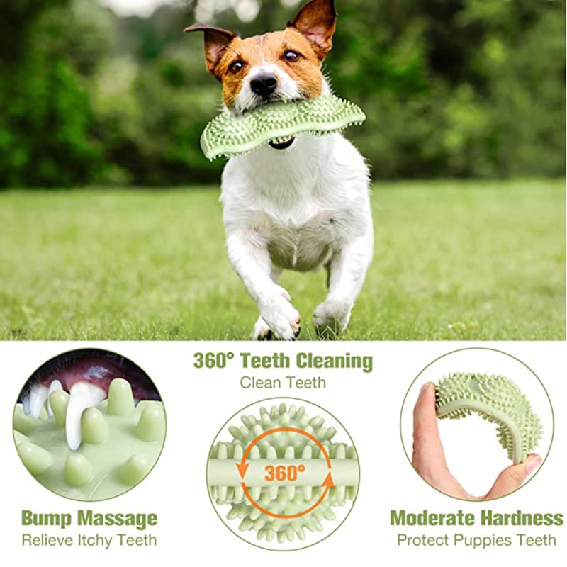 ChewSafe Dog Toy Ball