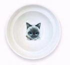 Support de Bol ErgoFeed pour Chats