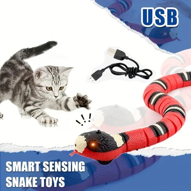 Jouet Serpent Rechargeable USB pour Chat - Jeu Actif