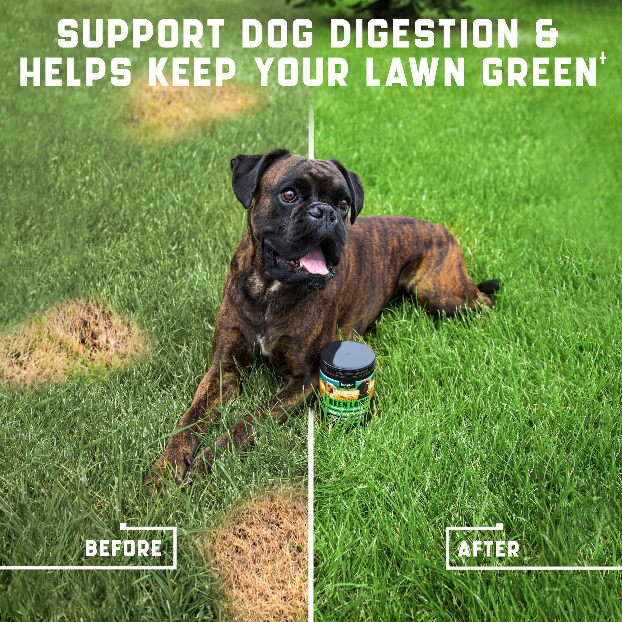 Friandises pour Chiens Green Lawn avec Cranberry et Vinaigre de Cidre de Pomme