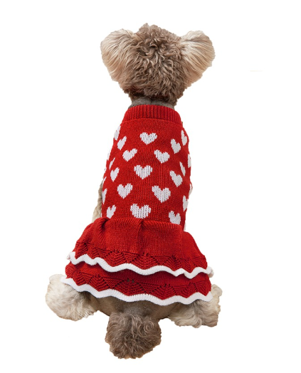 Pull de Princesse pour Chiens pour les Fêtes