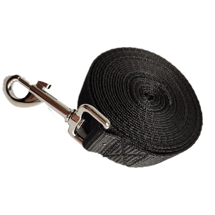 Laisse Longue et Large pour Chien en Corde de 2.5CM
