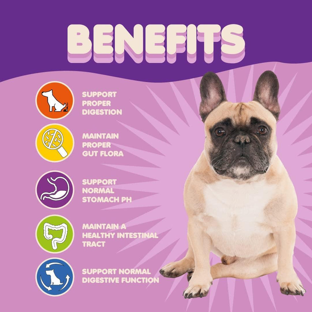 Mélange Probiotique Puissant pour Chiens - 9 Souches, 5B UFC