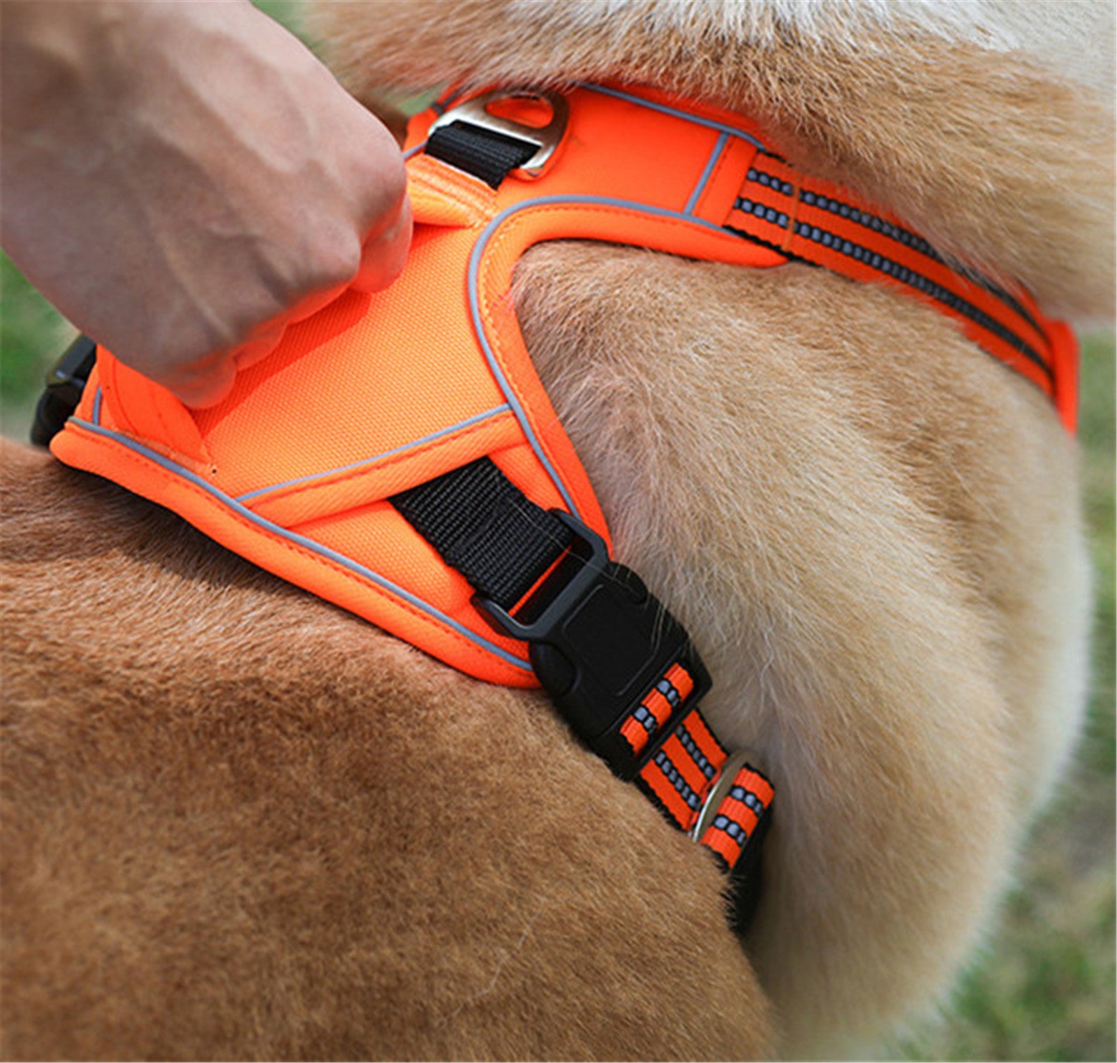 Harnais Imperméable Durable pour Animaux de Compagnie avec Poignée Verticale