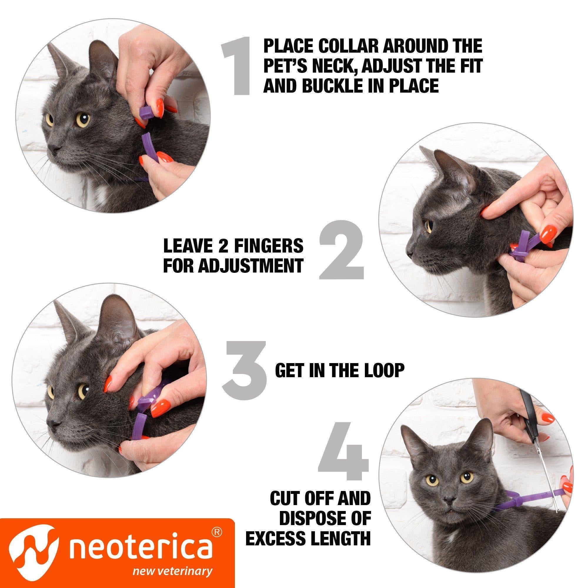 Collier Apaisant Anti-Anxiété pour Chat