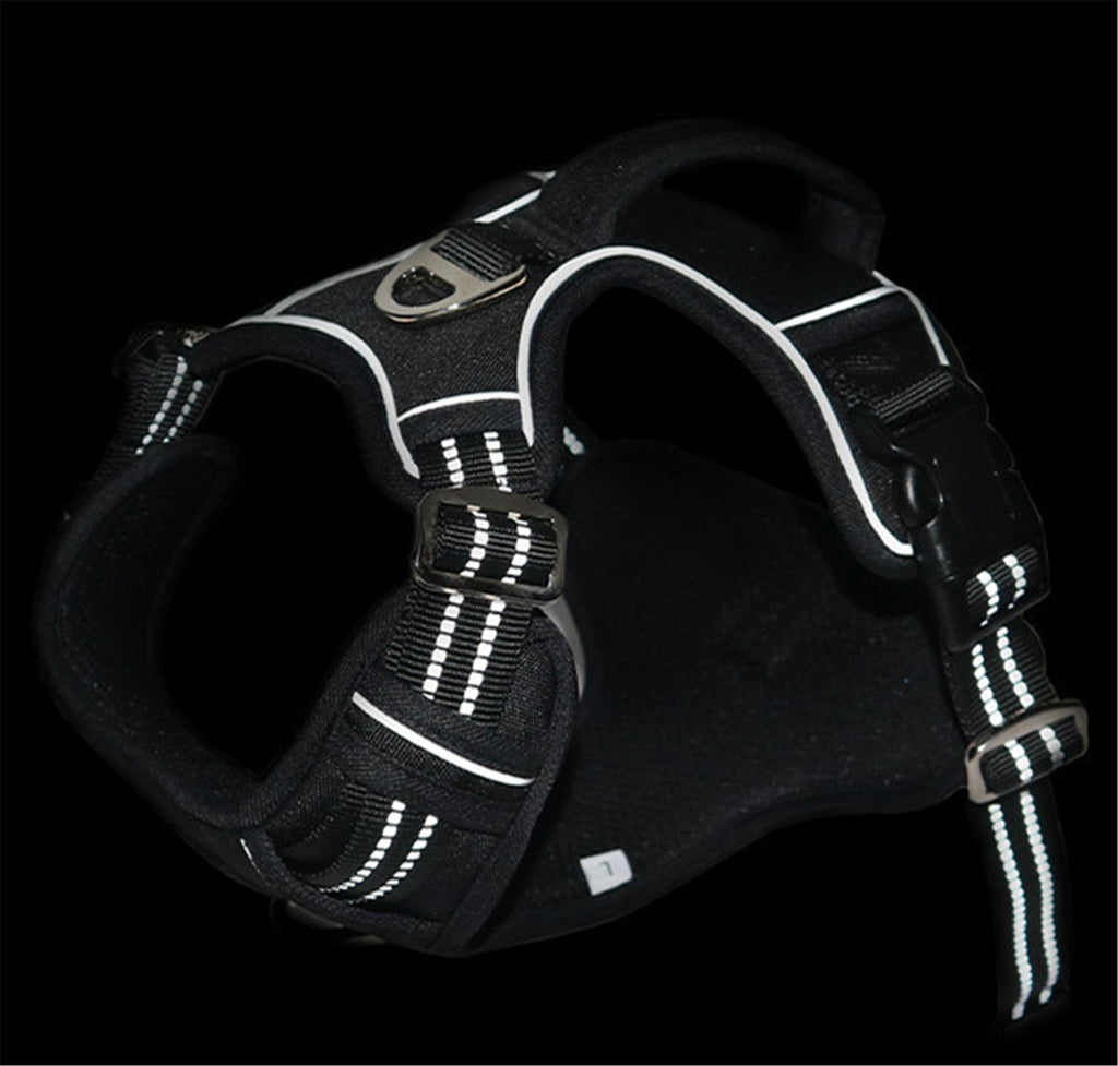 Harnais Imperméable Durable pour Animaux de Compagnie avec Poignée Verticale