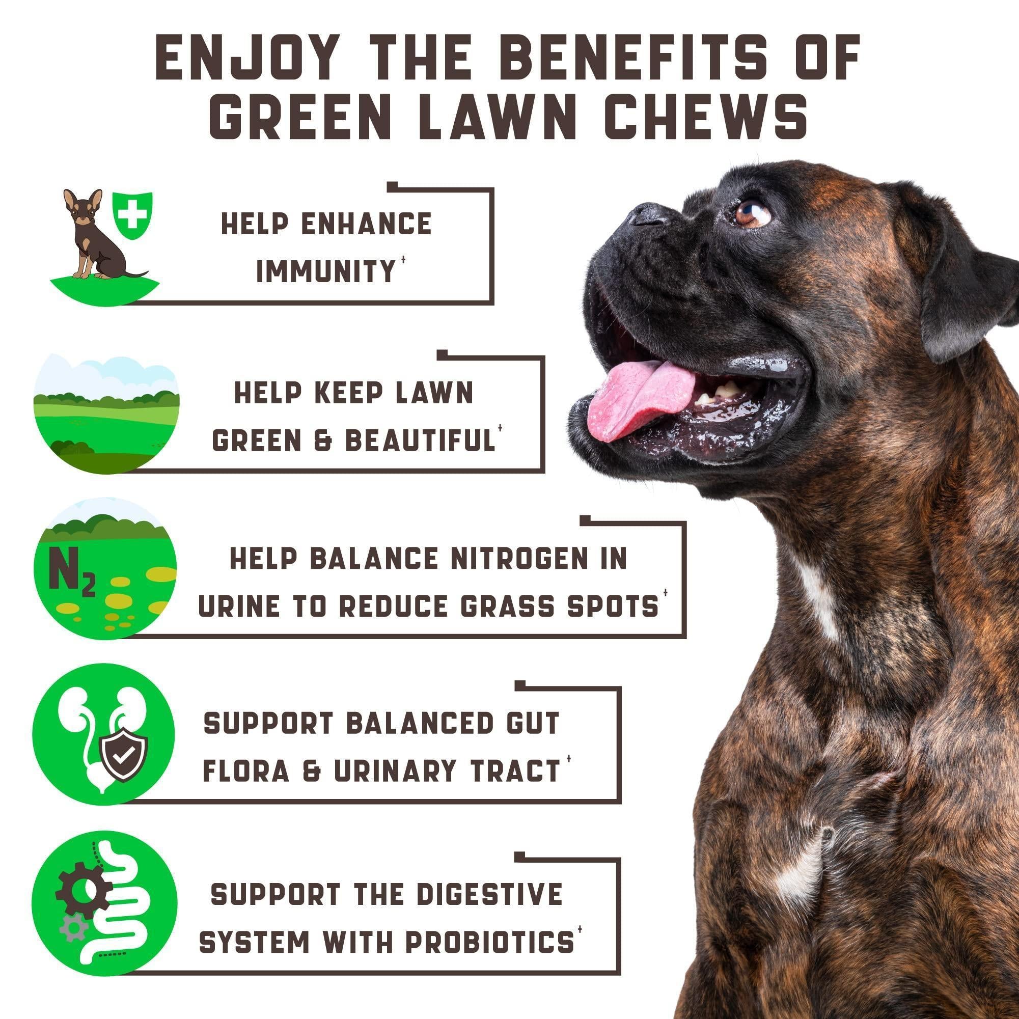 Friandises pour Chiens Green Lawn avec Cranberry et Vinaigre de Cidre de Pomme