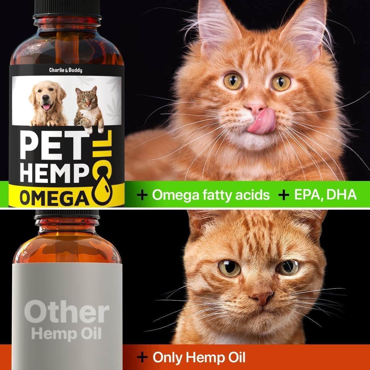 Huile de Chanvre et Saumon pour la Peau et le Pelage des Chiens, Santé Omega 3 6 9, Friandise Calmante 1 fl oz