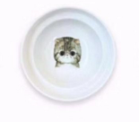 Support de Bol ErgoFeed pour Chats