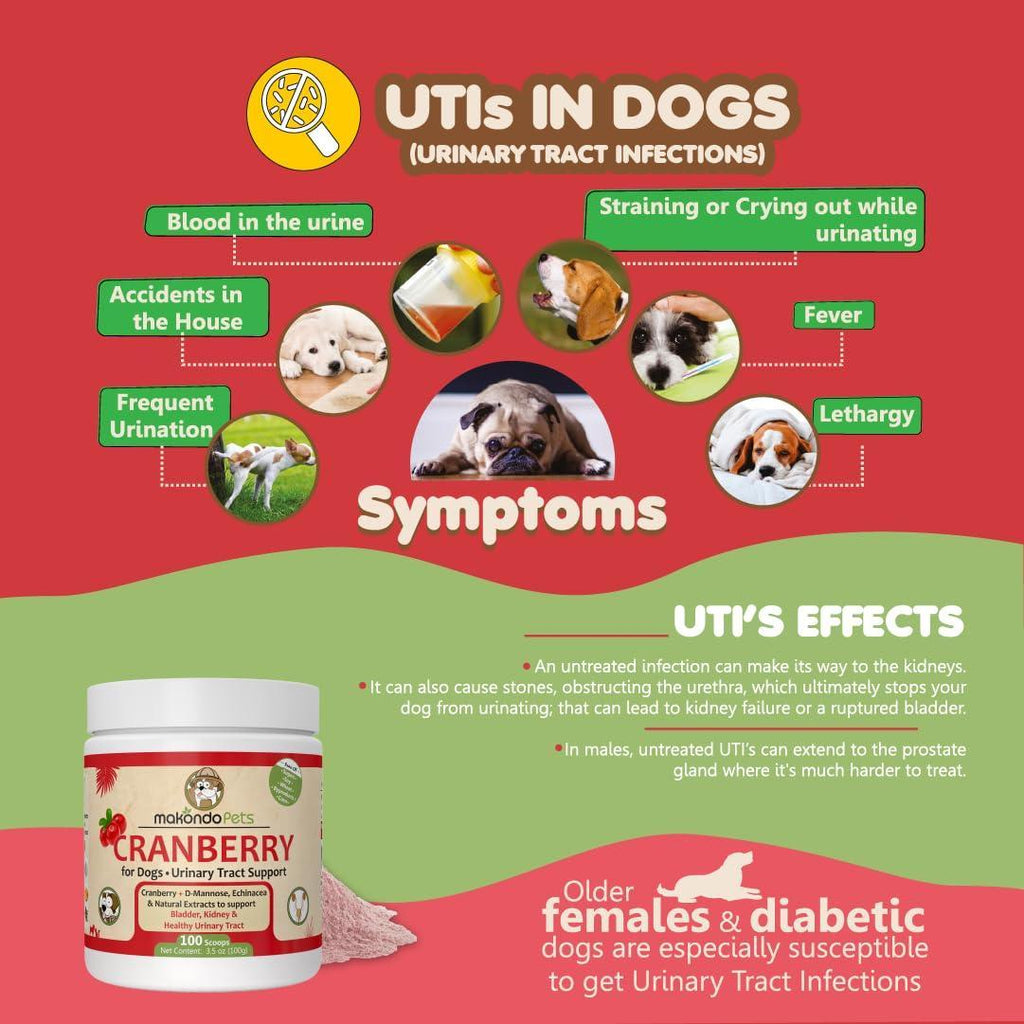 Supplément de Canneberge pour Chiens - Traitement Naturel des UTI & Support Rénal pour Chiens