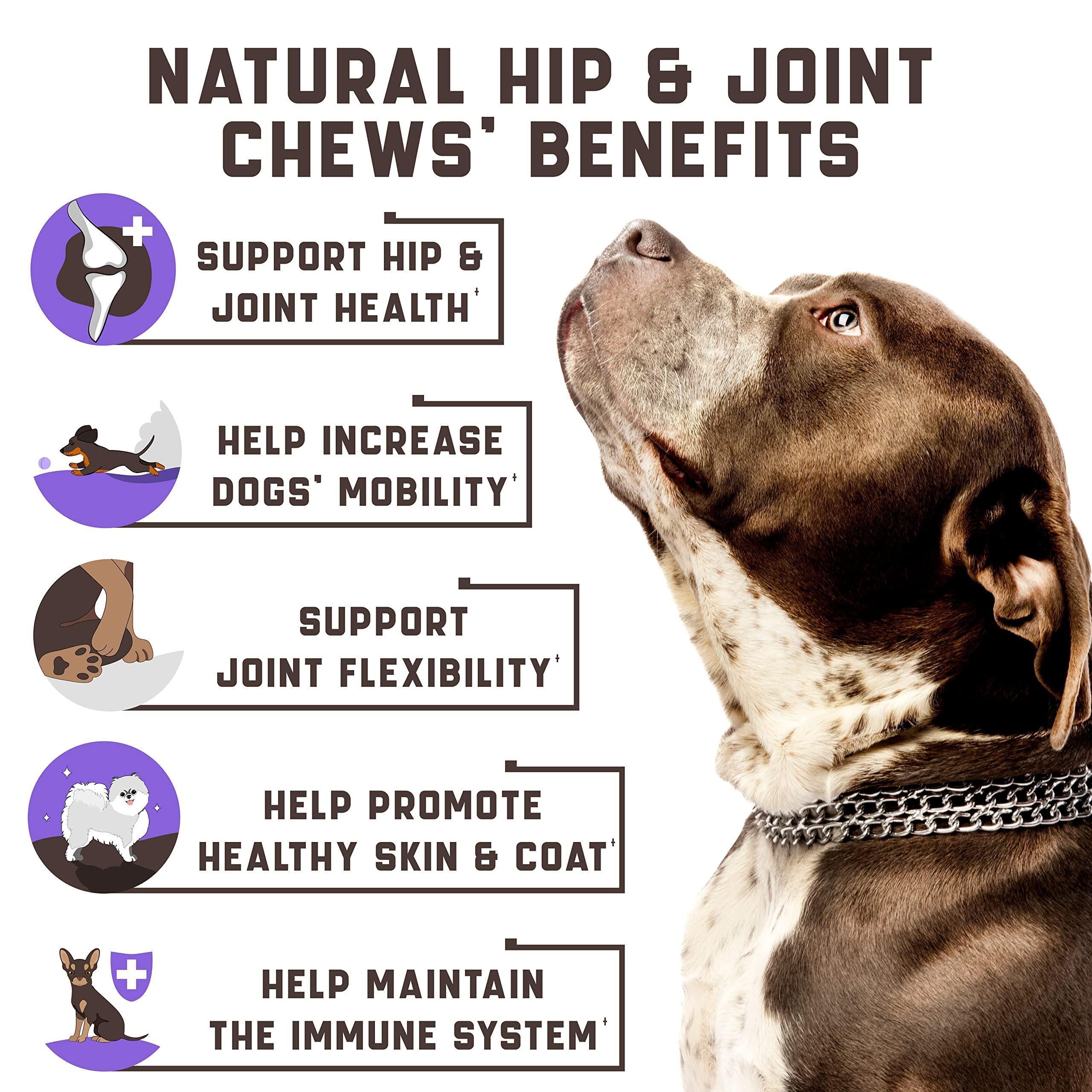 FlexiJoint Plus Friandises pour Chiens avec Glucosamine et Chanvre