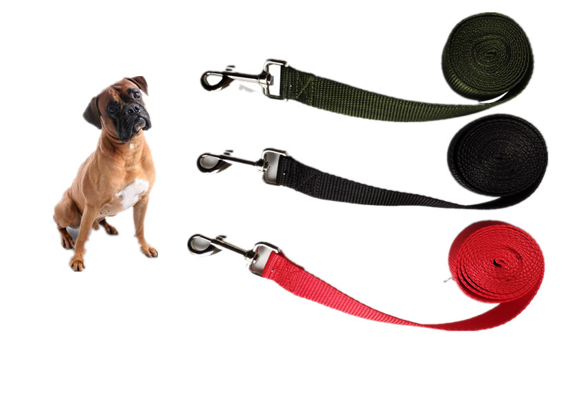 Laisse Longue et Large pour Chien en Corde de 2.5CM