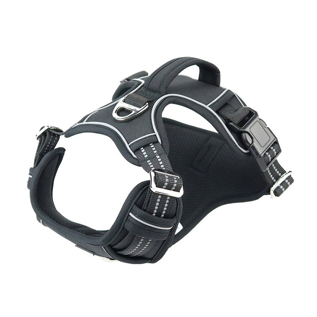 Harnais Imperméable Durable pour Animaux de Compagnie avec Poignée Verticale