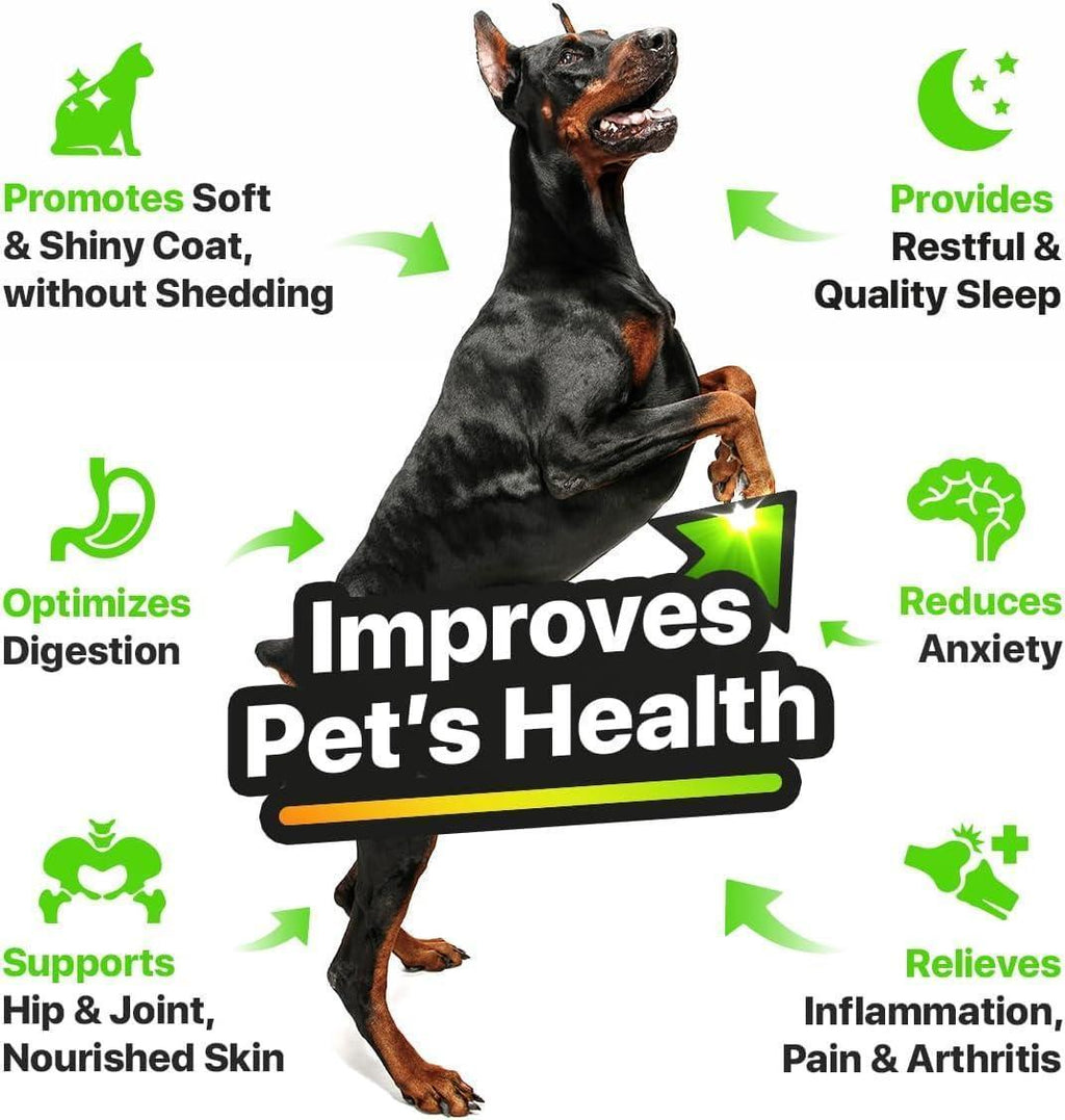 Huile de Chanvre et Saumon pour la Peau et le Pelage des Chiens, Santé Omega 3 6 9, Friandise Calmante 1 fl oz