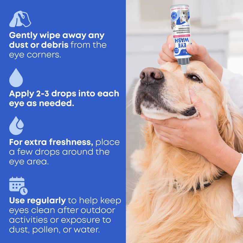 Gouttes de Purification des Yeux pour Animaux & Traitement des Traces de Larmes