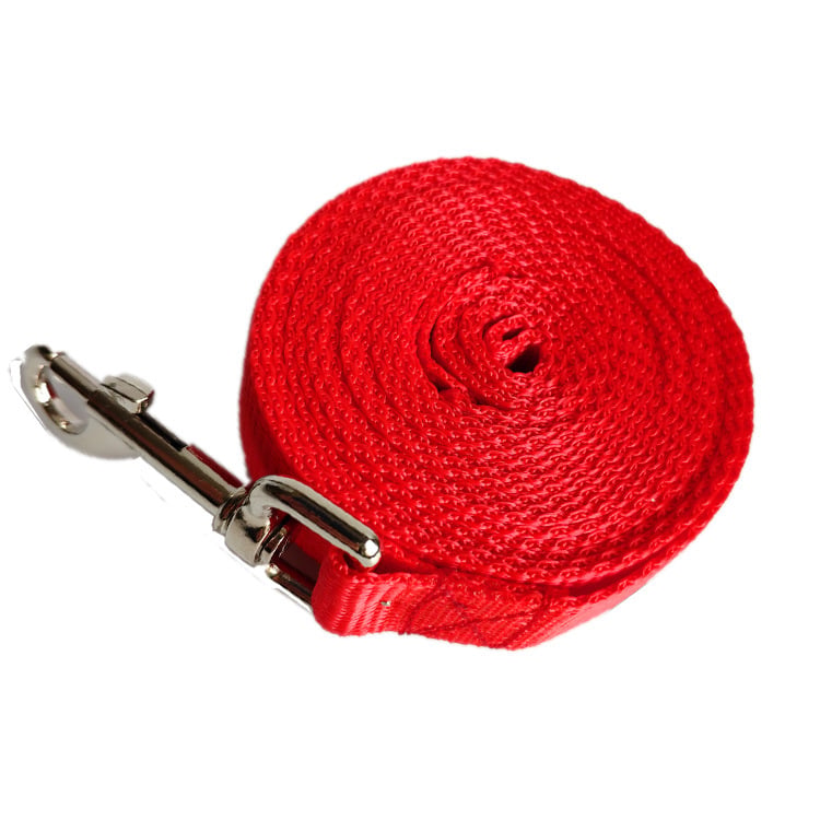 Laisse Longue et Large pour Chien en Corde de 2.5CM