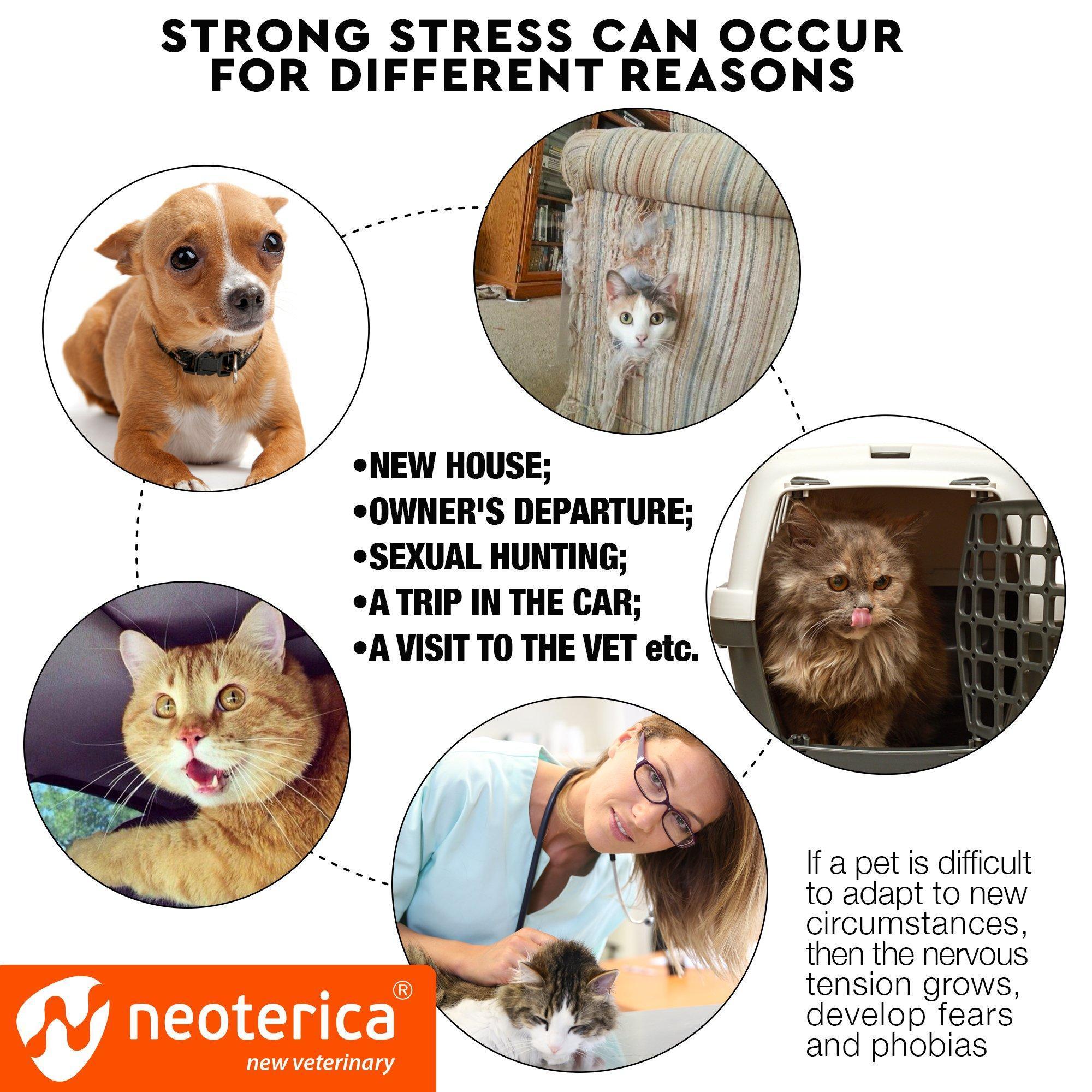 Collier Apaisant Anti-Anxiété pour Chat