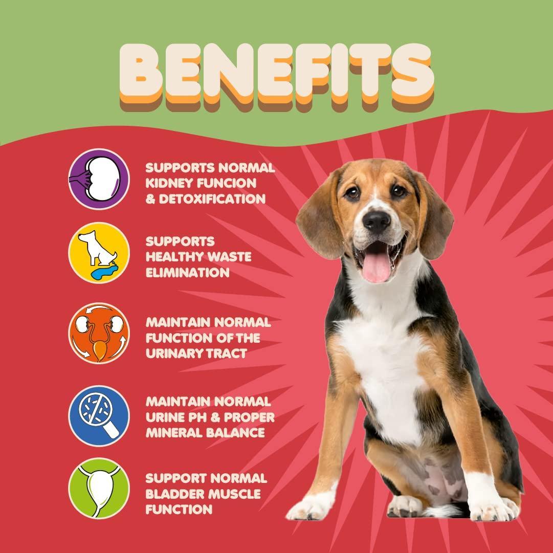 Supplément de Canneberge pour Chiens - Traitement Naturel des UTI & Support Rénal pour Chiens