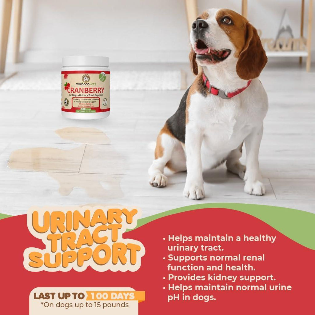 Supplément de Canneberge pour Chiens - Traitement Naturel des UTI & Support Rénal pour Chiens