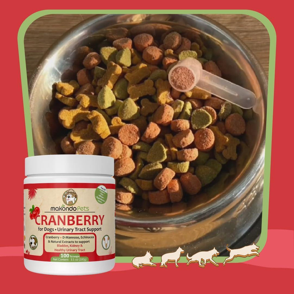 Supplément de Canneberge pour Chiens - Traitement Naturel des UTI & Support Rénal pour Chiens