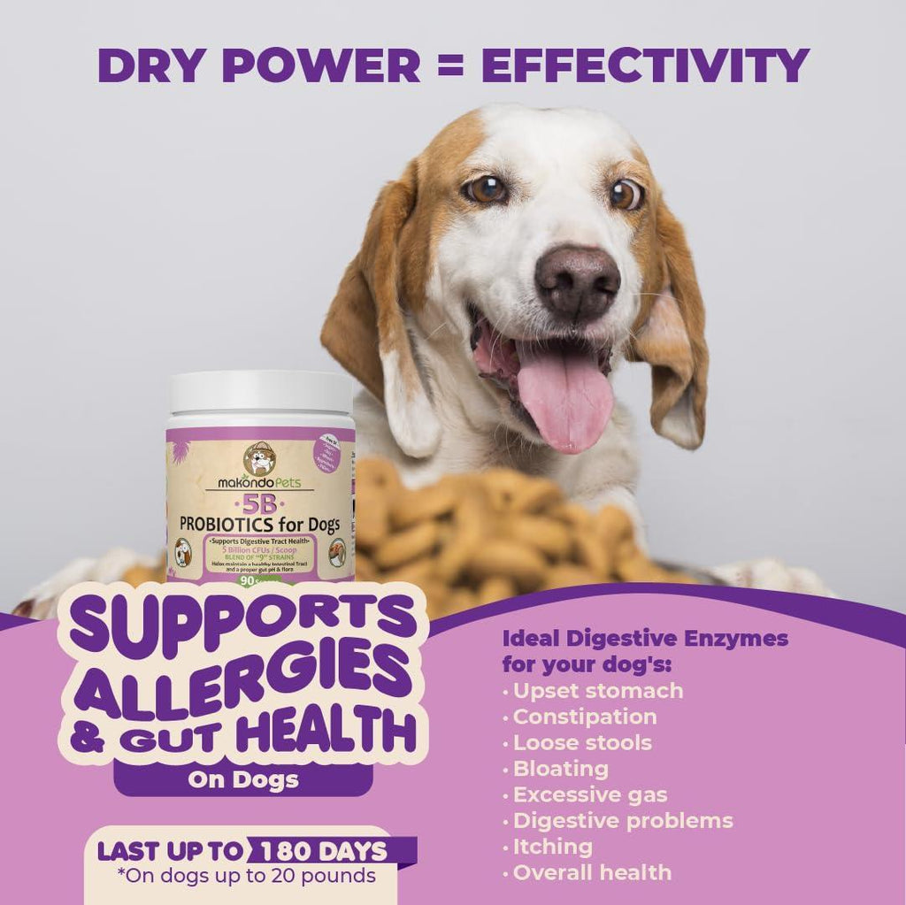 Mélange Probiotique Puissant pour Chiens - 9 Souches, 5B UFC