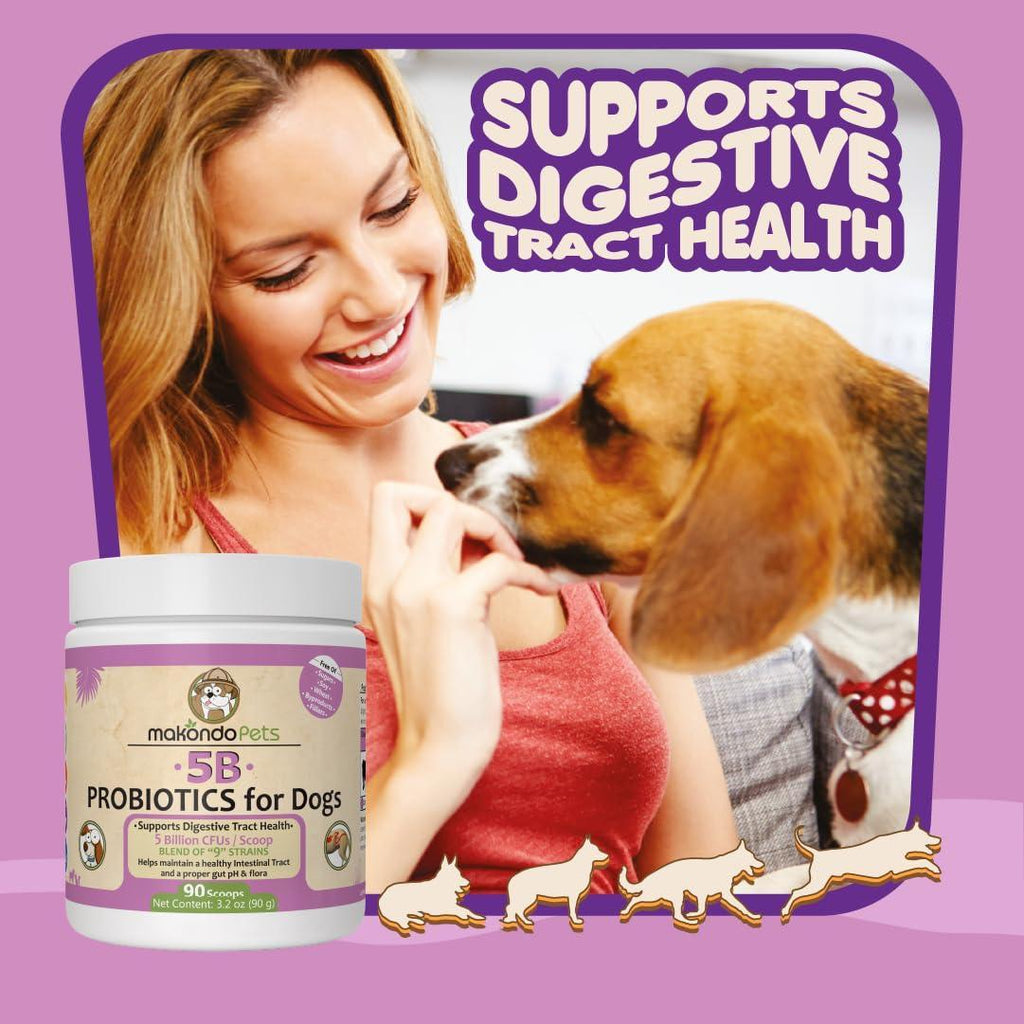 Mélange Probiotique Puissant pour Chiens - 9 Souches, 5B UFC