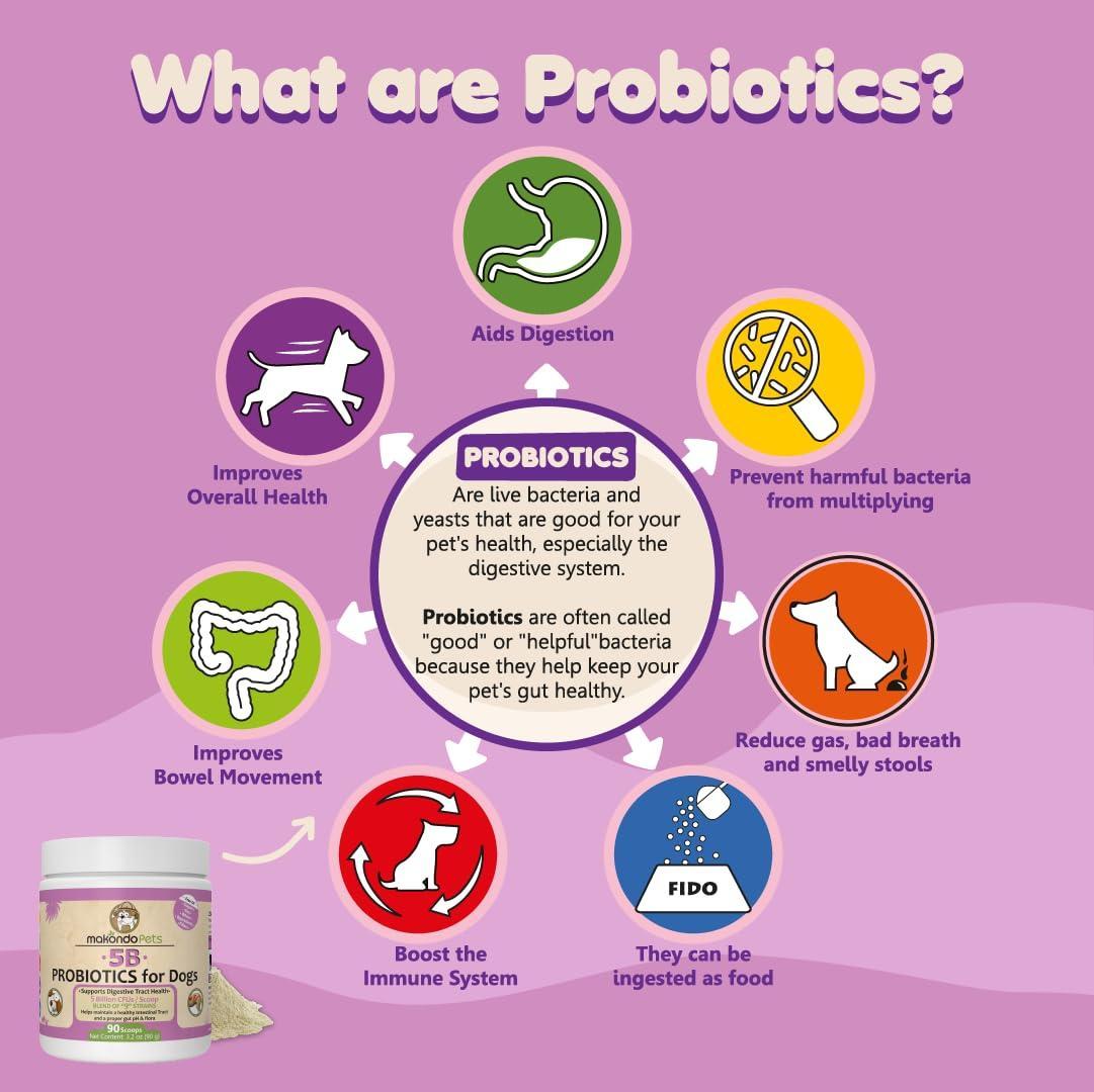 Mélange Probiotique Puissant pour Chiens - 9 Souches, 5B UFC