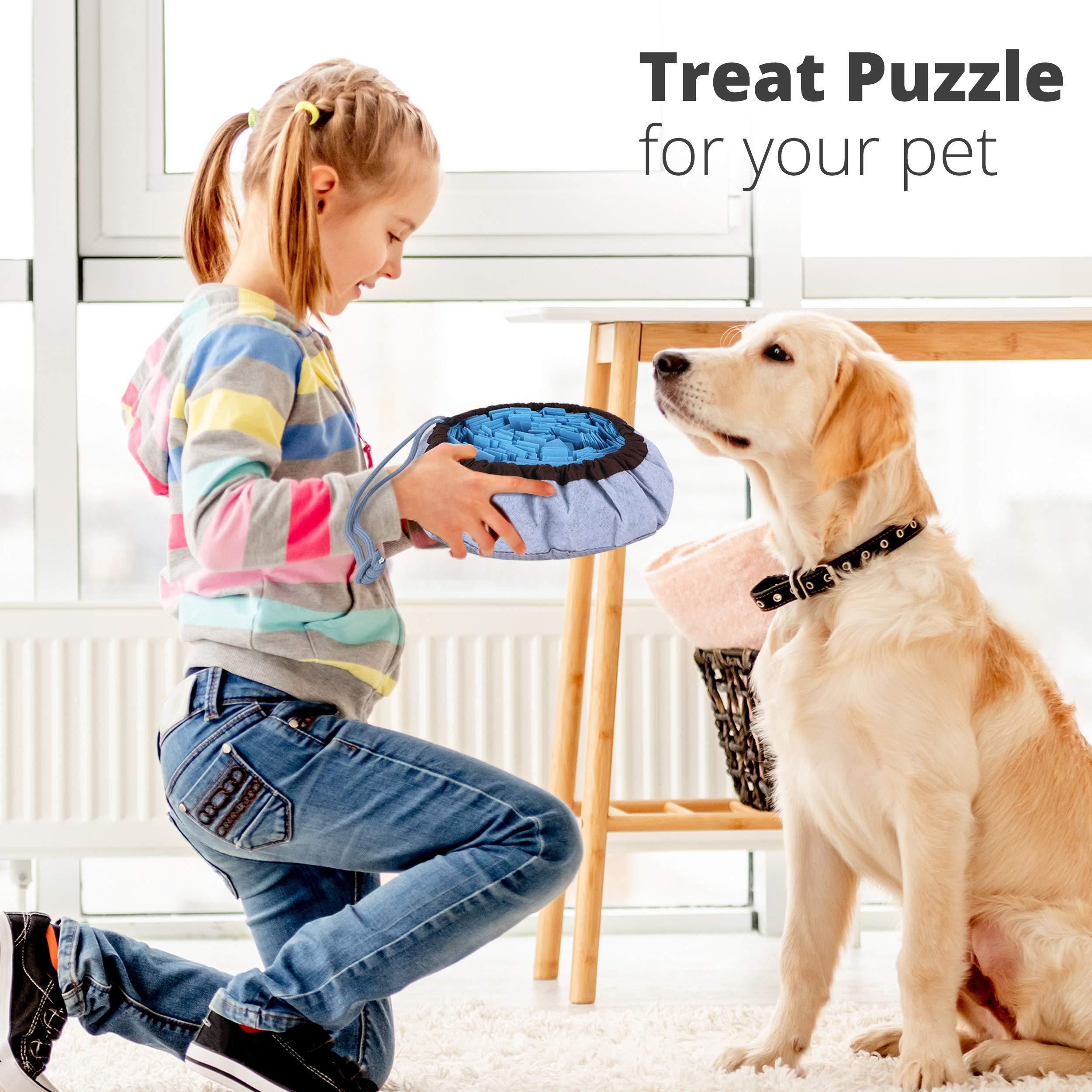 Tapis Puzzle Snuffle Hunt pour Chiens